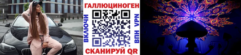 как найти закладки  Прохладный  блэк спрут сайт  Галлюциногенные грибы Psilocybe 