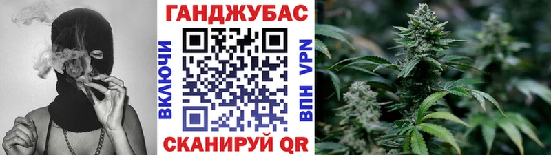 Шишки марихуана план  Прохладный 